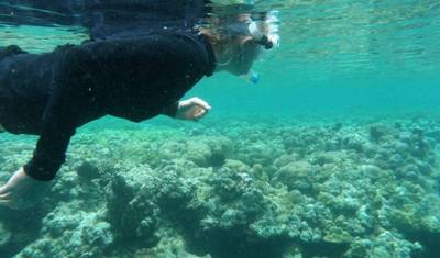 Tigak Sea Kayaking — 4