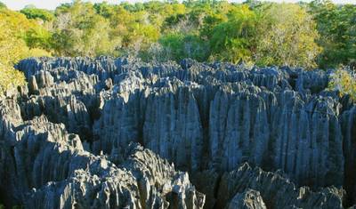 マダガスカル南部、4つの地域を巡る旅 — 4