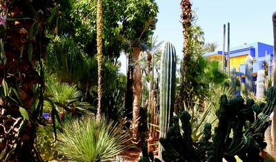 A Costa do Sul de Marrocos: Tour de 7 Dias de/para Casablanca: Praias Atlânticas e Montanhas Atlas (Tour Privado) — 4