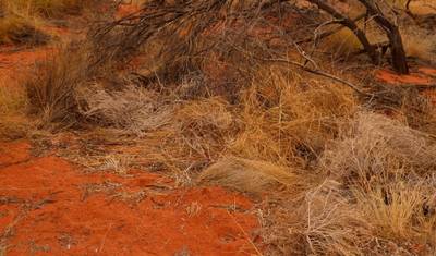 Destaques de Uluru e Kata Tjuta (Pausa Curta, 2 Dias) — 5