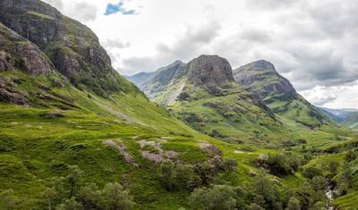 Scottish Royal — 3