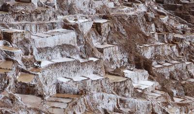 Machu Picchu و جالاباغوس — 5