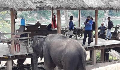 ラオスとカンボジアを発見する11日間 — 3