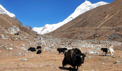 Trekking do Bazy pod Makalu — 4