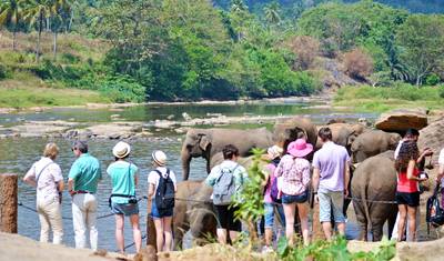 Sri Lanka w 8 Dni — 3
