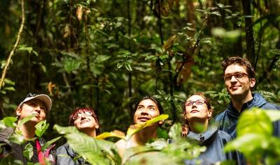 Ecuador - Andes to Amazon — 2