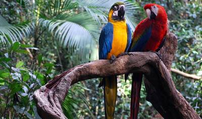 Ecuador - Andes to Amazon — 5