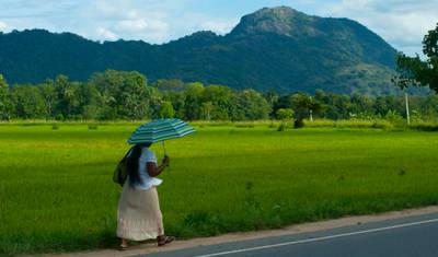 O Melhor da Índia e Sri Lanka com relaxamento na praia — 5