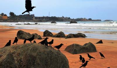 Sri Lanka Plan podróży 9 dni — 5