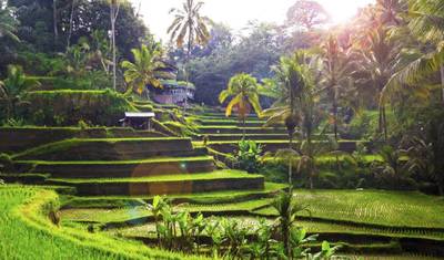 Highlight of Bali, Private Tour — 3