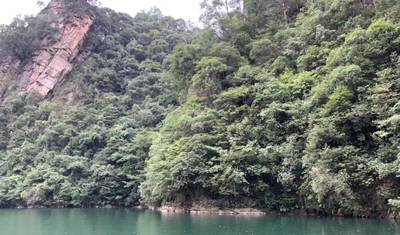 Tour de Impressões Privado 14D: Pequim, Xi'an, Lhasa, Chengdu, Chongqing, Zhangjiajie, Xangai — 4