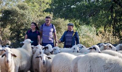 Douro International Natural Park self-guided hike tour — 3