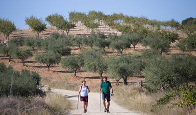 Douro International Natural Park self-guided hike tour — 5