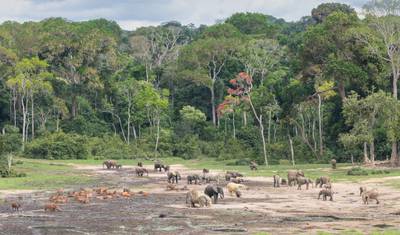 Azobe East Adventure Safari 13D/12N — 5