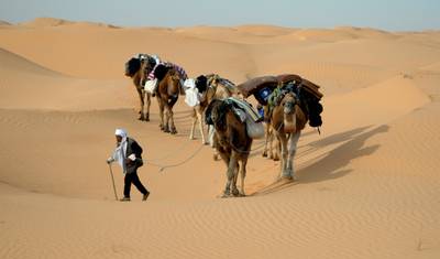 Camel Riding Adventure at Great Oriental Erg 7 Days/ 6 Nights — 2