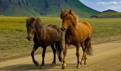 Trekking Laugavegur 4 dni/3 noce — 4