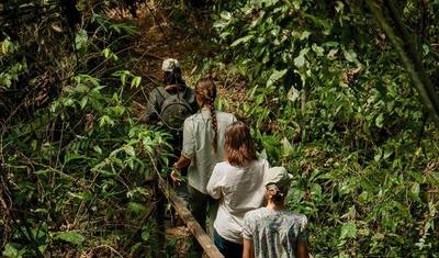 Puerto Maldonado Amazon Superior Lodge 5D/4N (from Puerto Maldonado) — 2