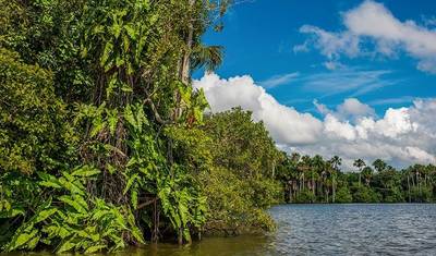 Puerto Maldonado Amazon Superior Lodge 5D/4N (from Puerto Maldonado) — 3