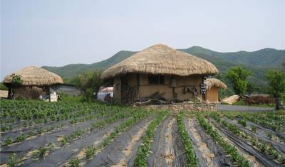 South Korea Eastern Adventure 3D/2N — 5