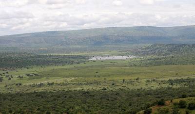3-Day Akagera National Park Wildlife Safari — 4