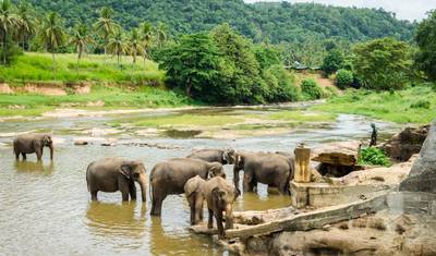Sri Lanka 15 Day Itinerary — 4