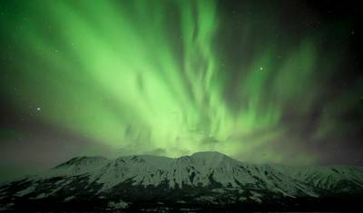 Yukon Dog Mushing Adventure — 4