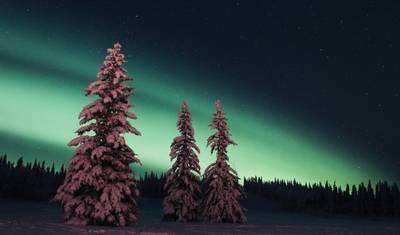 Yukon Dog Mushing Adventure — 5