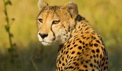 Mombasa Rendezvous, Private Tour (On Request) — 2