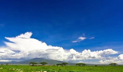 Kifaru Safari, Serena Lodges - プライベートツアー — 3