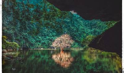 Truly Vietnam in 10 Days — 4