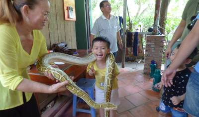 Autêntico Vietnã e Camboja - 14 Dias — 3