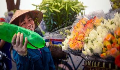 Beleza do Vietnã e Camboja por Via Aquática - 15 Dias — 2