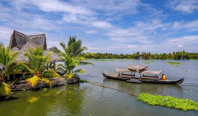 شاطئ وتلال شمال Kerala (Calicut, Wayanad & Kannur) — 5