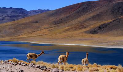San Pedro de Atacama 4日間発見の旅 新登場!!! — 2