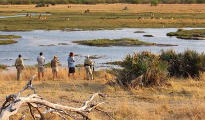 Safári de 4 Dias em Boteti, Moremi Game Reserve e Khwai — 2