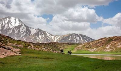 Morocco Tours - 9 Days Special tour from Marrakech visiting Desert, Fes, Chefchaouen and more — 5