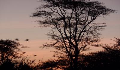 4-dniowe budżetowe safari przygodowe po Lake Nakuru i Masai Mara — 3