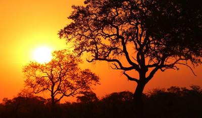 Aventura de Safári em Etosha, Autoguiada — 5