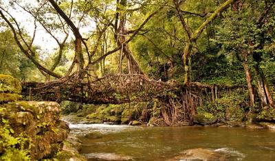 Incrível Excursão pelo Nordeste da Índia — 5