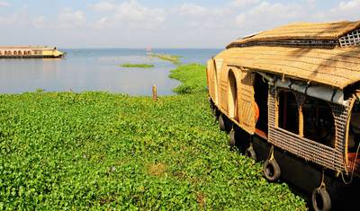 Kerala Backwaters and Wildlife Tour — 5