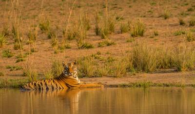 North India Tour — 4