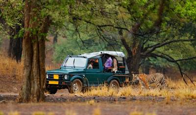 North and South India Tour — 2