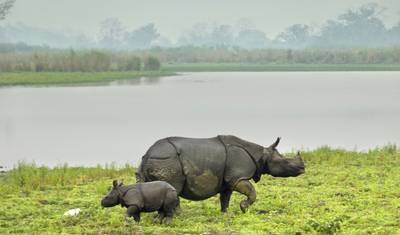 Eastern India Tour — 3