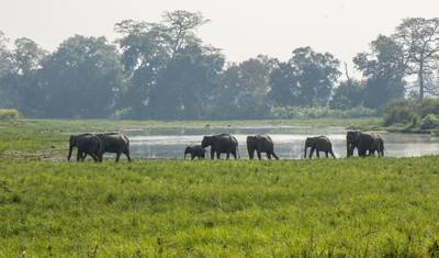 Eastern India Tour — 5