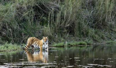Rajasthan Tour with Ranthambore — 2