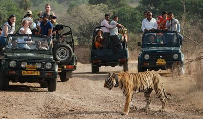 Rajasthan Tour with Ranthambore — 3