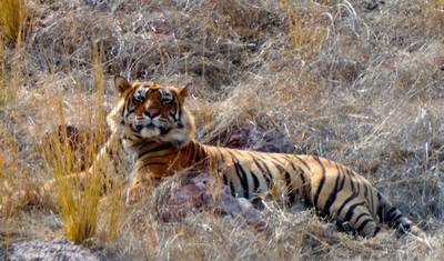 Incredible Rajasthan Trip — 3