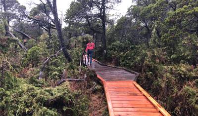 Vancouver 4 Days island Adventure Tour Vancouver, Victoria, Ucluelet, Tofino and Nanaimo — 3