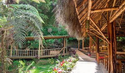 4 Dni Archidona Amazon Lodge Społeczność Kichwa — 4