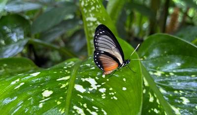 4 Dni Archidona Amazon Lodge Społeczność Kichwa — 5